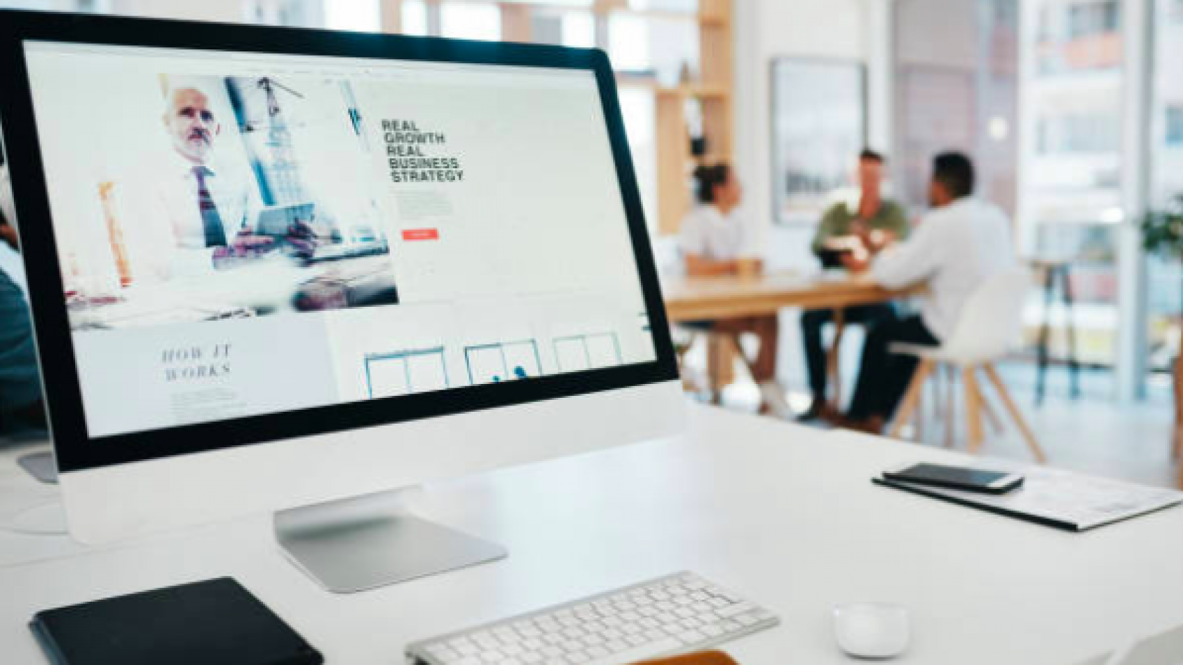 professional website